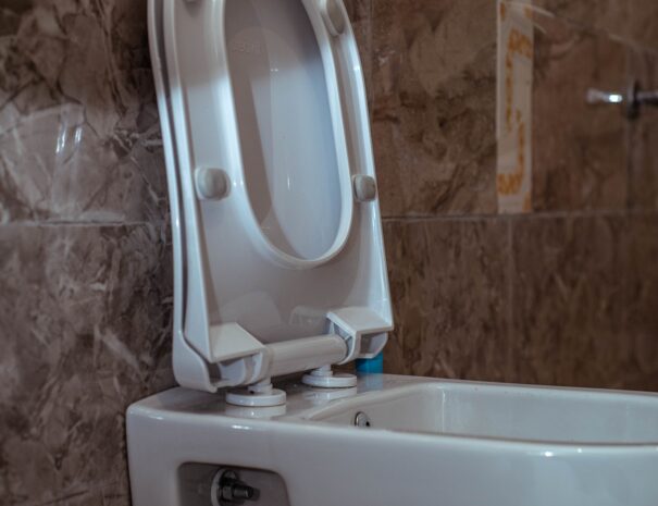 vieu-6408